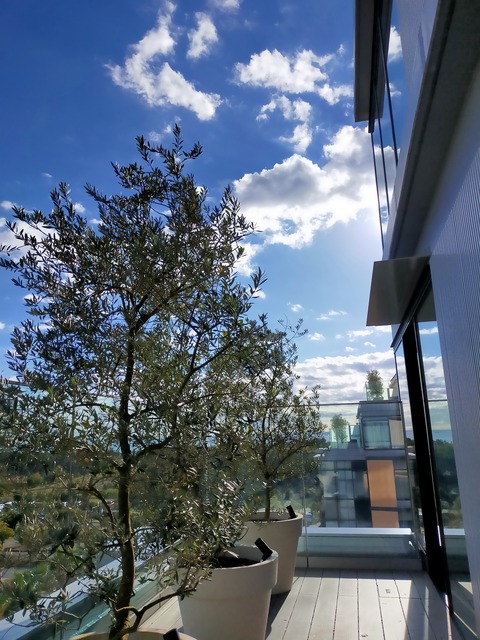 IMG20211123090052