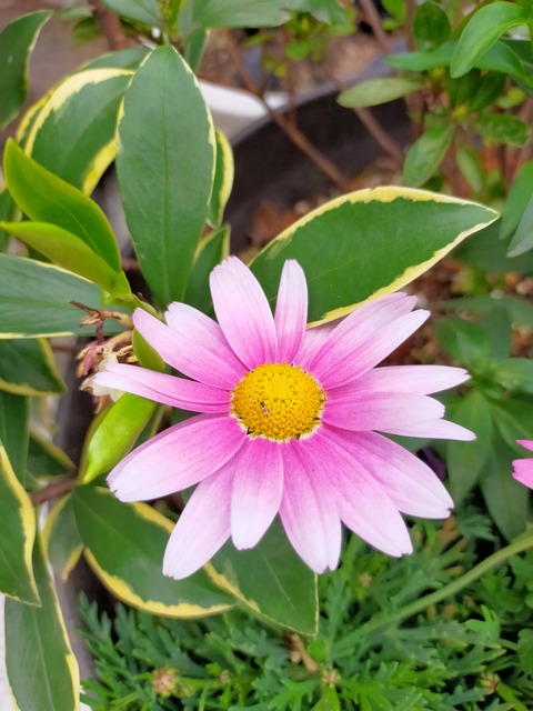 IMG20220326144834