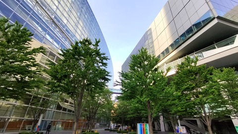 IMG20230505062001