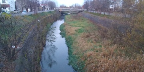 P_20201108_061055