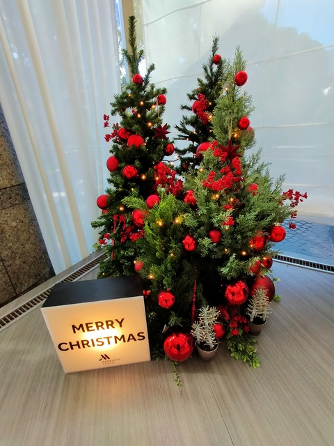 IMG20211218131045
