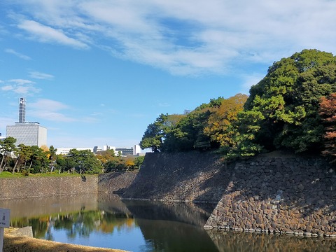 IMG20221204101208