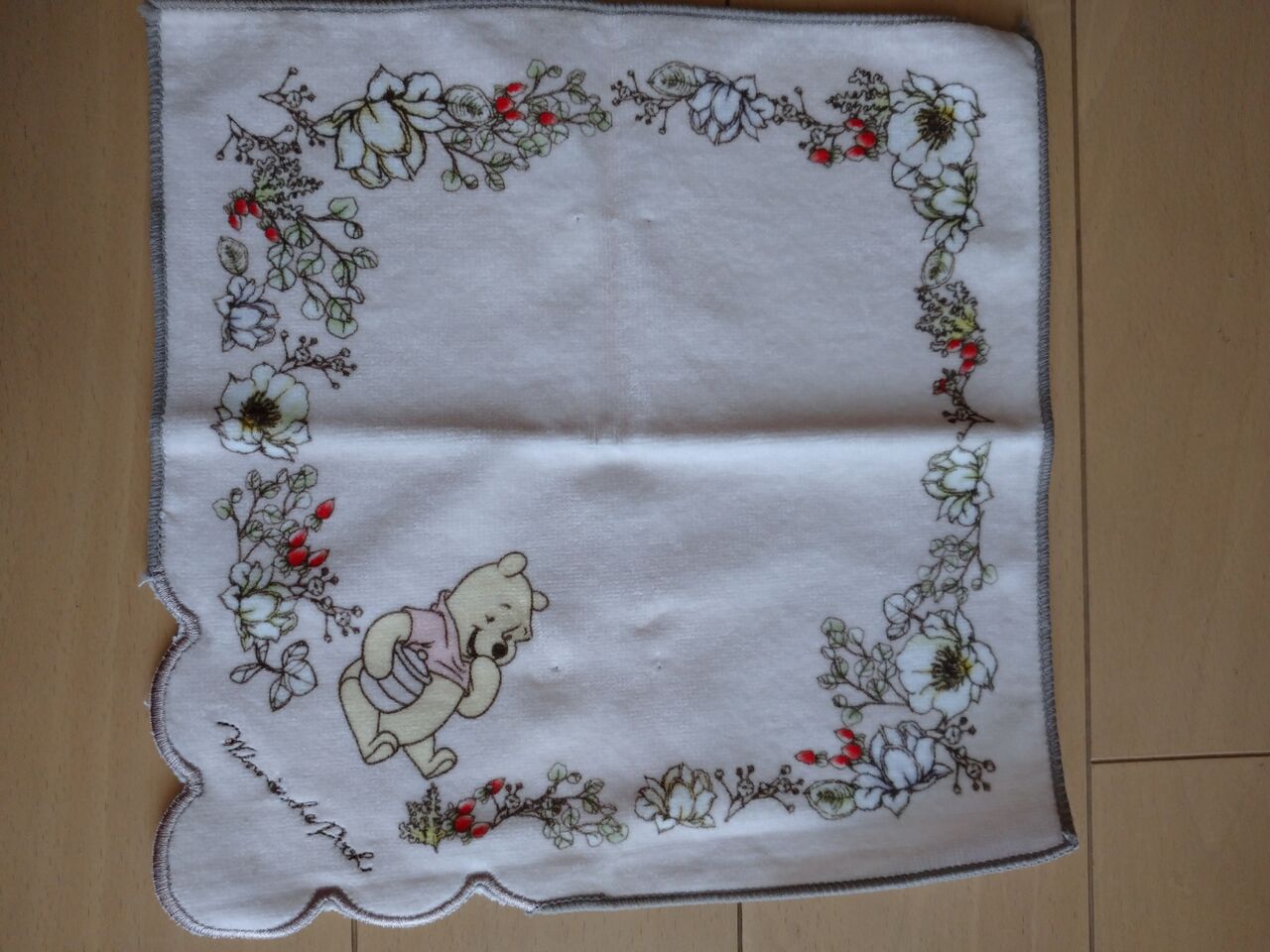 映像ディズニー アラフィフ主婦のディズニー年パス日記