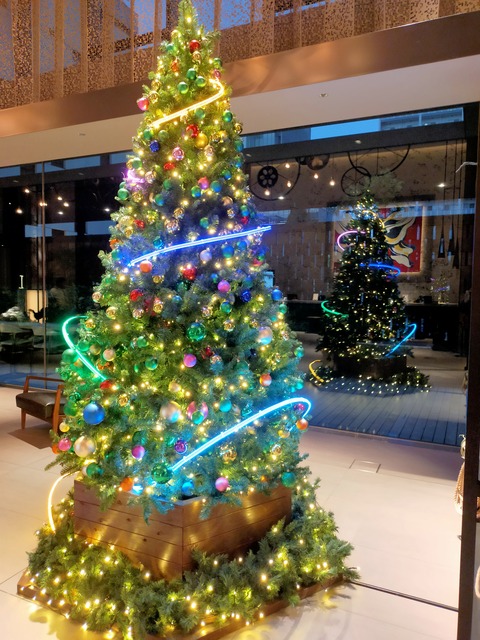 IMG20221211062222