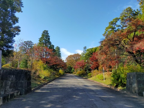 IMG20221204100634