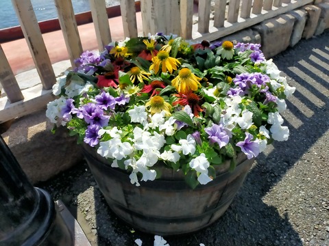 IMG20230416133814