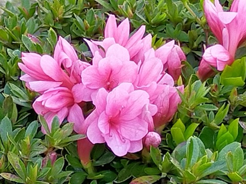 IMG20220409154823