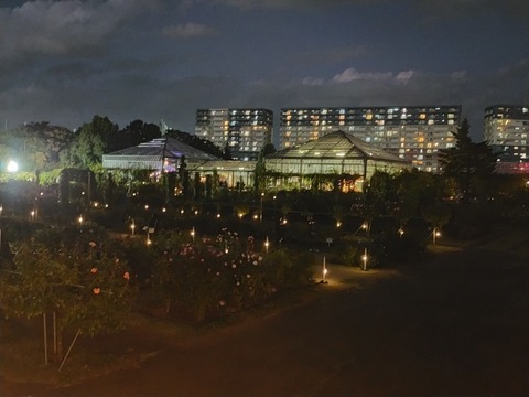 IMG20221029172504