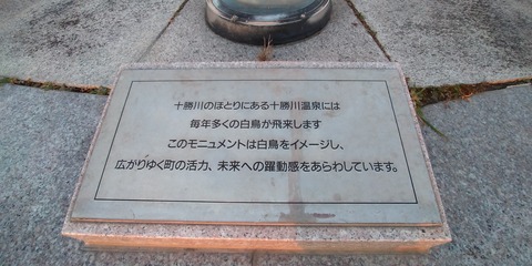 P_20201108_063115