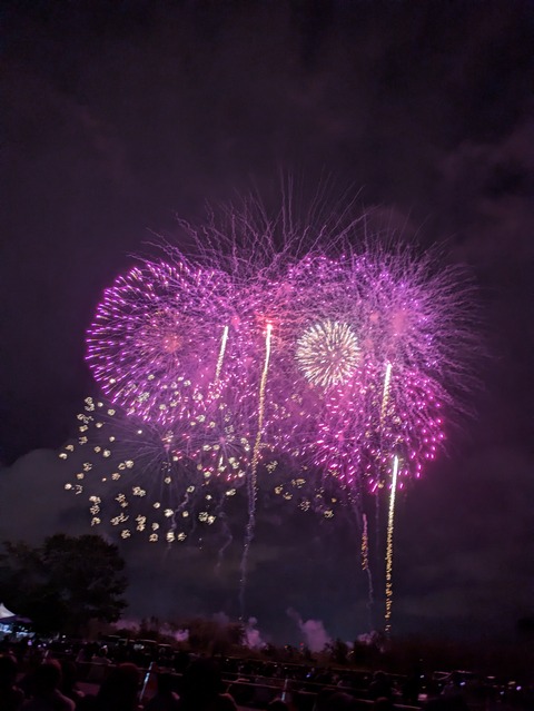 PXL_20250813_113125753.MP