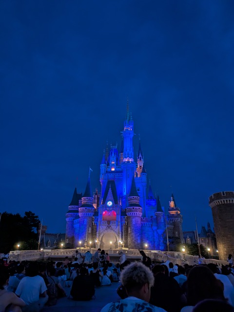 PXL_20250723_102431433.MP