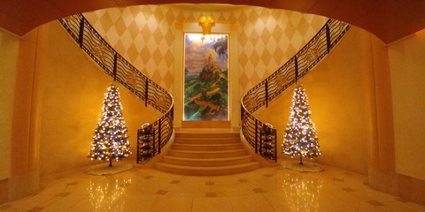 P_20201225_163354