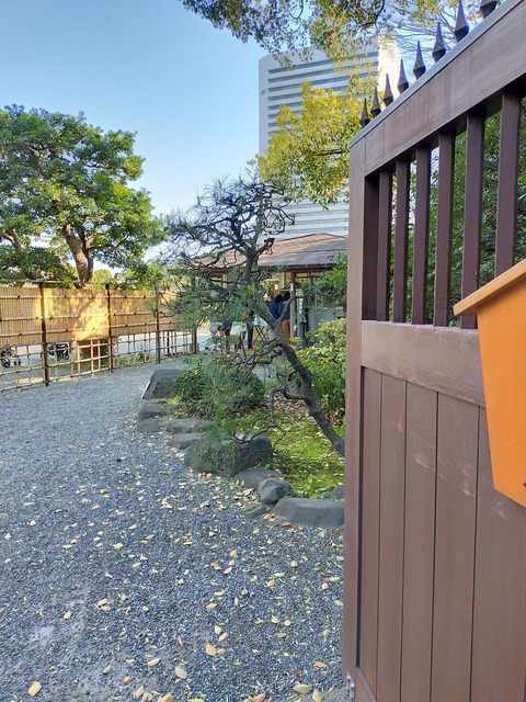 IMG20220409154146