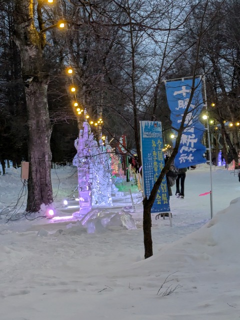 PXL_20260130_075506756.MP