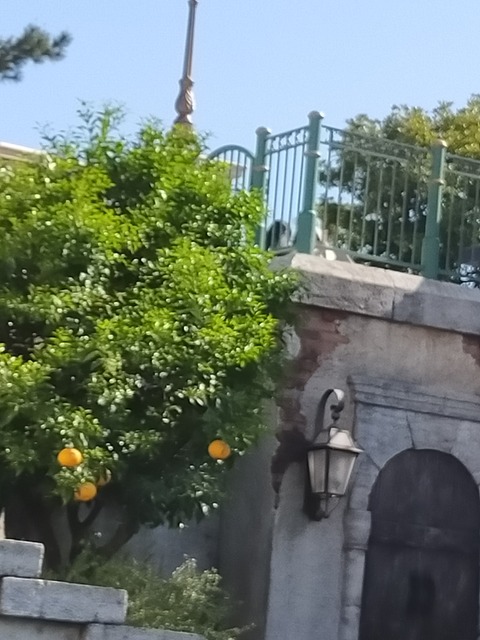 IMG20230416145312