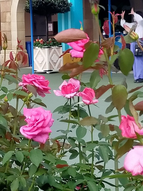 IMG20221003092601