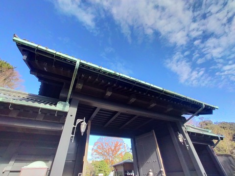 IMG20221204101806
