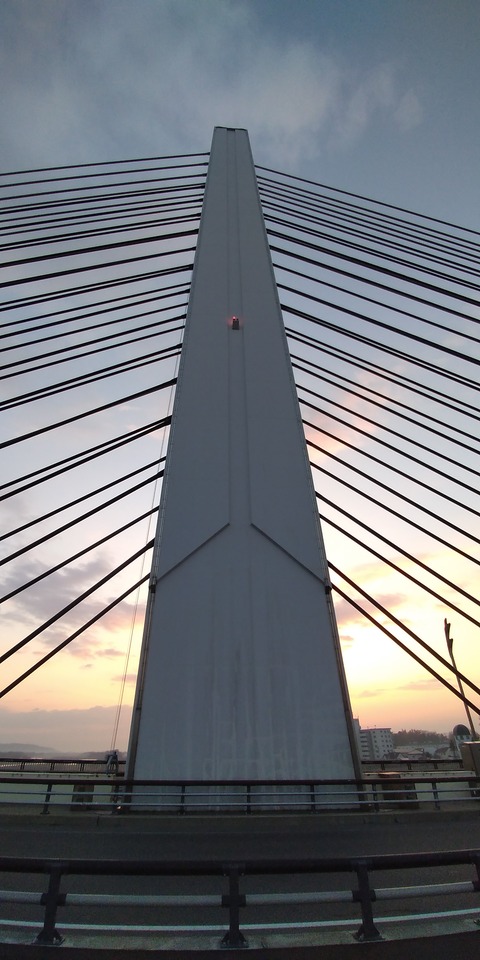 P_20201108_062357
