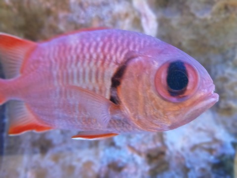 IMG20220730140615