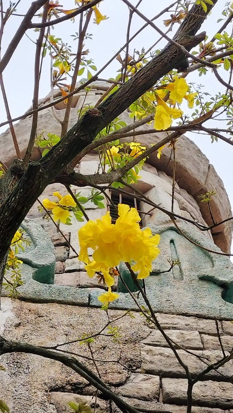 IMG20230416085630