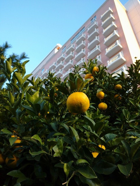 DSC_1377
