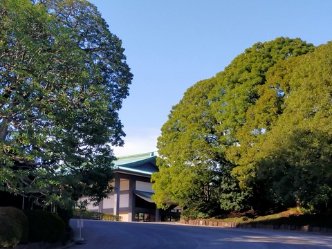 IMG20221204100245