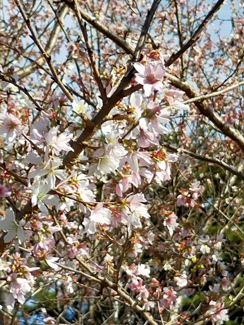 IMG20221204100945
