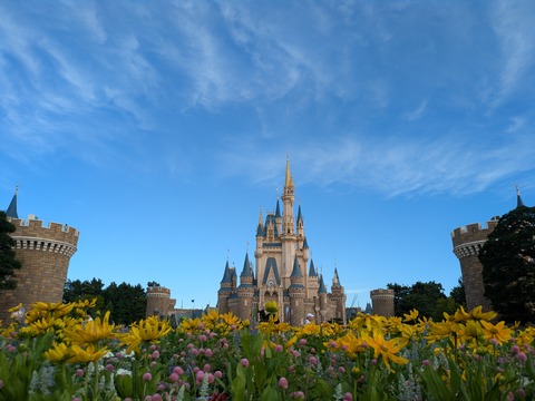 PXL_20250723_082020870.MP