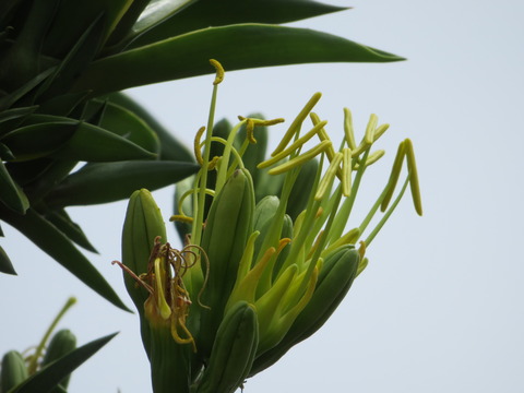 20200731113759_IMG_2192