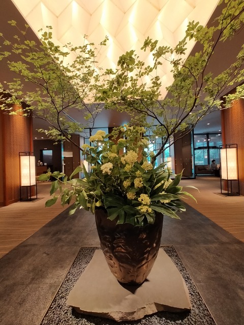 IMG20220618123729