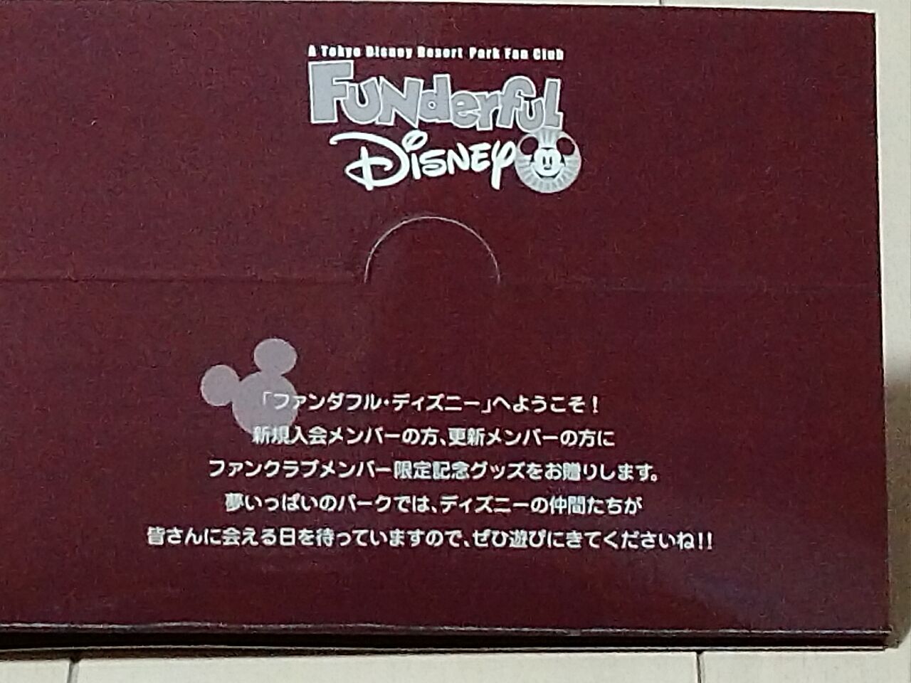 再入会検討中 ファンダフル ディズニー 過去に貰ったグッズも紹介 アラフィフ主婦のディズニー年パス日記