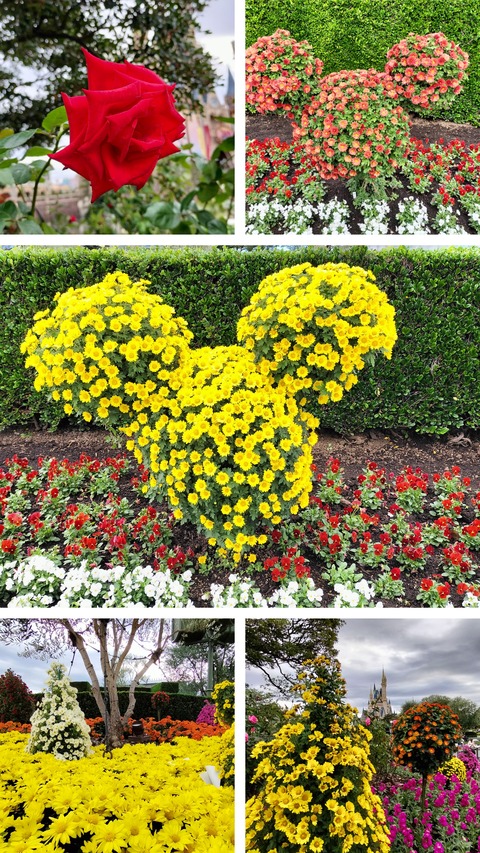 20231111_165346-COLLAGE