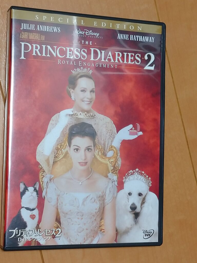 実写のお姫様 ディズニープリンセス 映像ディズニー アラフィフ主婦のディズニー年パス日記