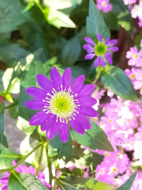 IMG20220506061932