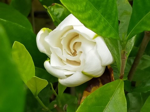IMG20210707163626
