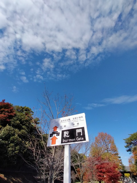 IMG20221204101333