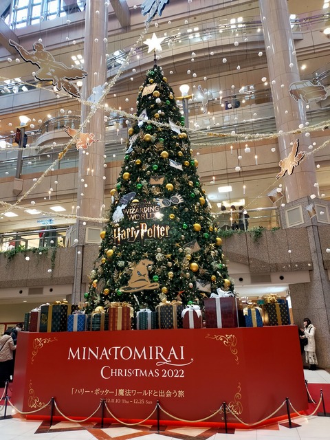 IMG20221217152700