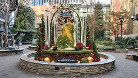 IMG20231217081338