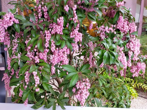 IMG20220326144542