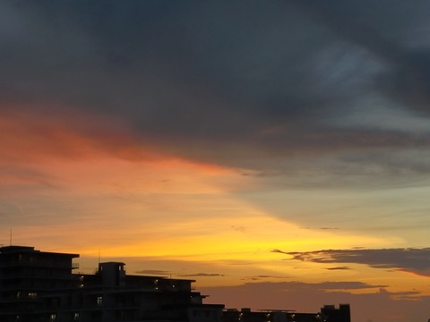 IMG20220730190217