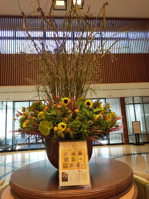 IMG20220730140347