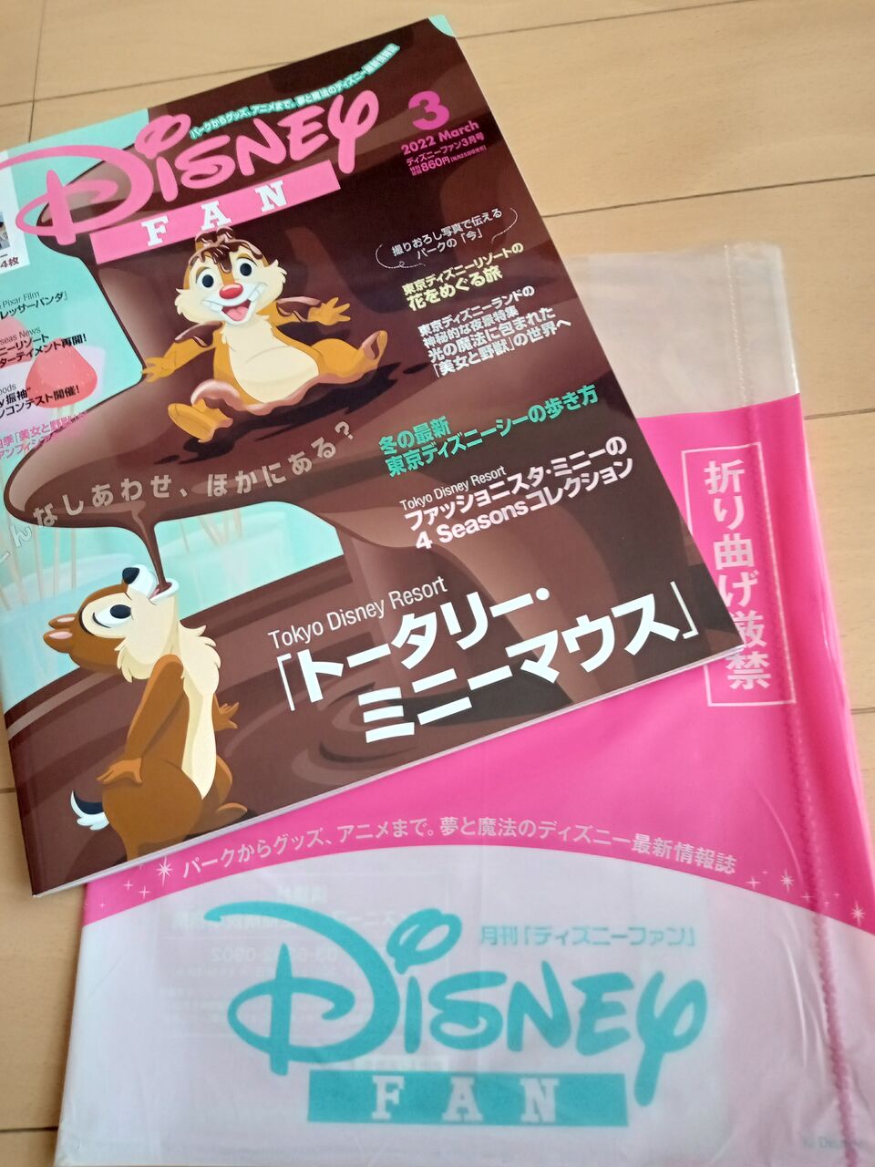 ミニーちゃん特集 ディズニーファン3月号は今日発売 アラフィフ主婦のディズニー年パス日記 ミニーちゃん特集 ディズニーファン3月号は今日発売 アラフィフ主婦のディズニー年パス日記