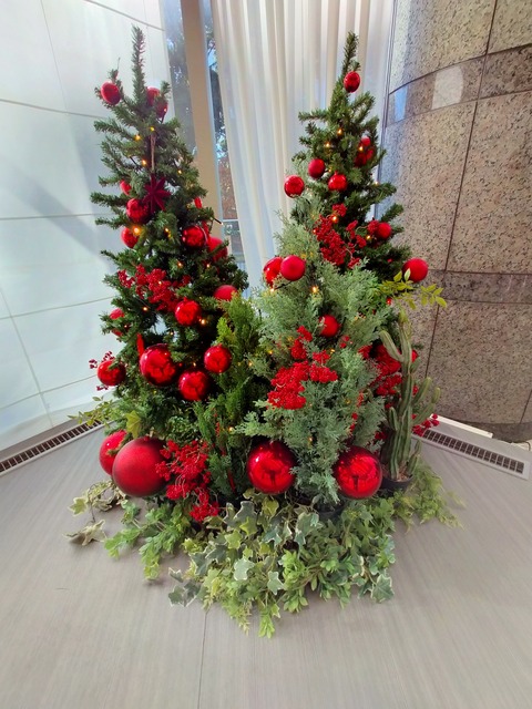 IMG20211218131038