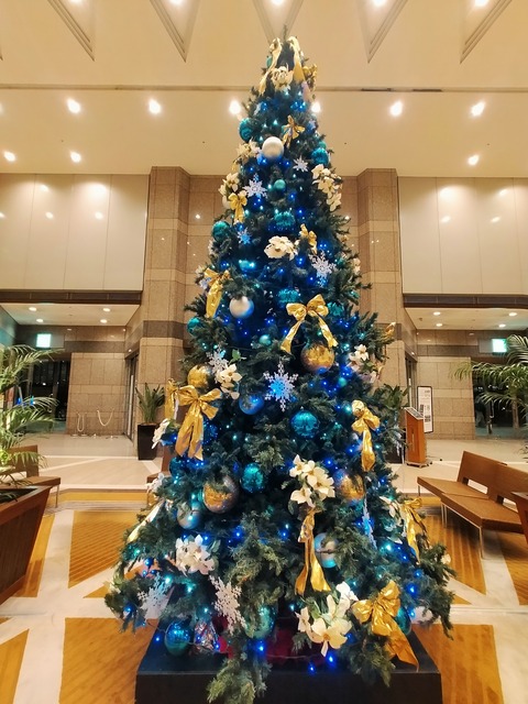 IMG20221118220039