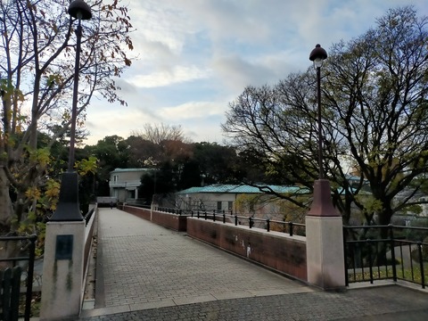 IMG20221217072320