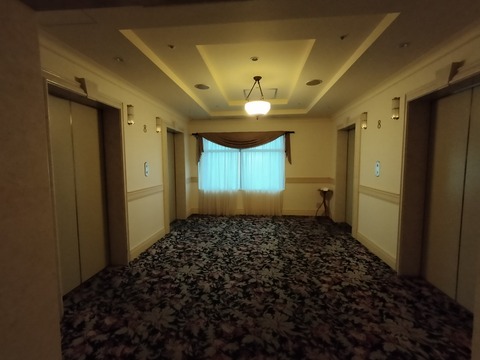 IMG20230612045930