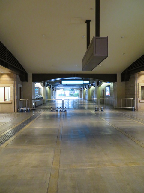 20200308135519_IMG_0089