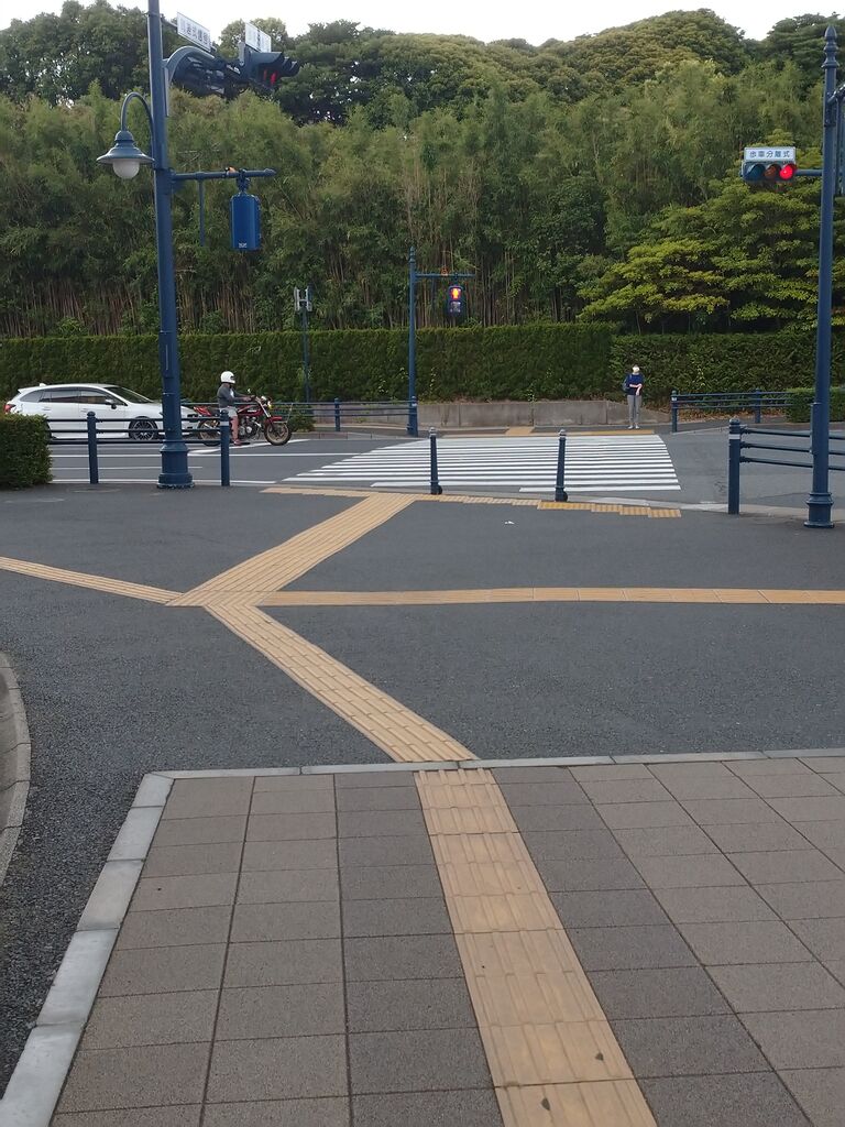 Tdr再開の予感を感じる東京ディズニーリゾートを徒歩で一周 前編 アラフィフ主婦のディズニー年パス日記