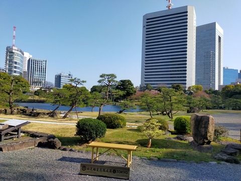 IMG20220409154340