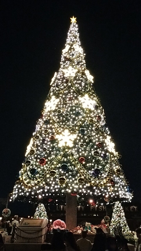 IMG20231204173604_01